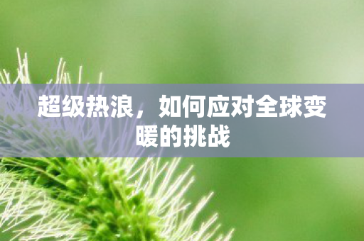 如何应对全球变暖的挑战图片