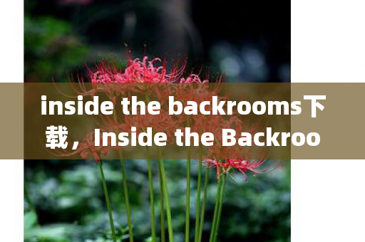 inside the backrooms下载，Inside the Backrooms: Exploring the Hidden Worlds of Corporate America