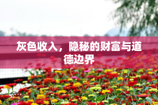 灰色收入，隐秘的财富与道德边界