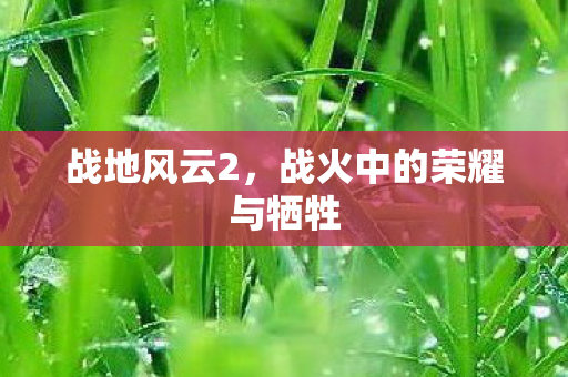 战地风云2，战火中的荣耀与牺牲