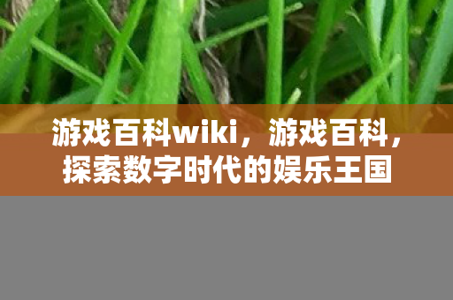 游戏百科wiki，游戏百科，探索数字时代的娱乐王国