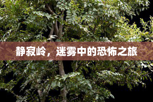 静寂岭，迷雾中的恐怖之旅