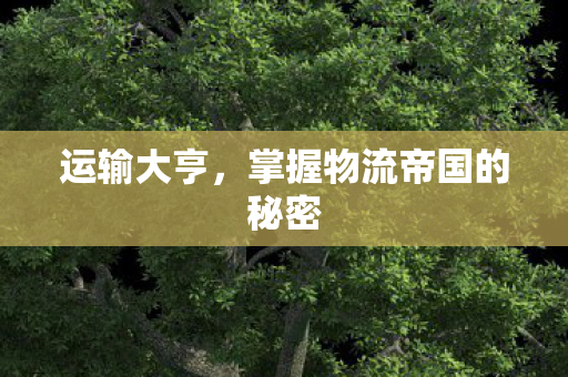 运输大亨，掌握物流帝国的秘密