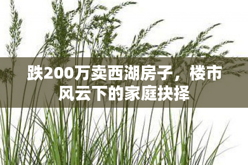 跌200万卖西湖房子，楼市风云下的家庭抉择