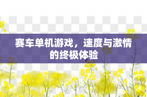 赛车单机游戏，速度与激情的终极体验