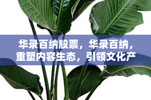 华录百纳股票，华录百纳，重塑内容生态，引领文化产业新变革