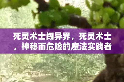 死灵术士闯异界，死灵术士，神秘而危险的魔法实践者