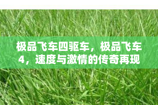 极品飞车四驱车，极品飞车4，速度与激情的传奇再现