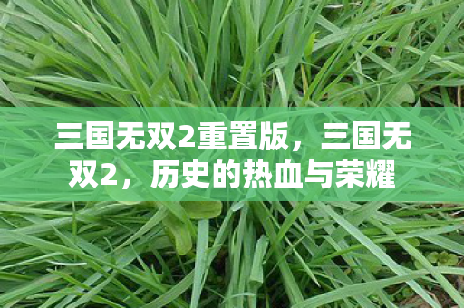 三国无双2重置版，三国无双2，历史的热血与荣耀