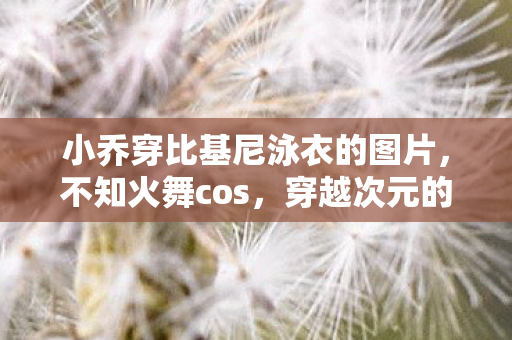 小乔穿比基尼泳衣的图片，不知火舞cos，穿越次元的绝美再现