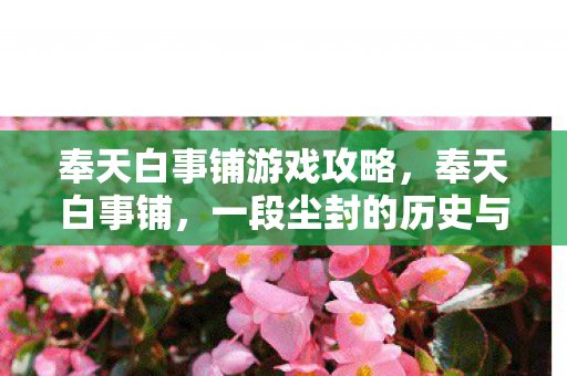 奉天白事铺游戏攻略，奉天白事铺，一段尘封的历史与人间百态