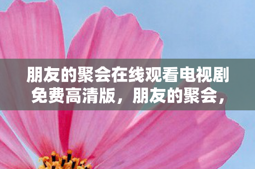 朋友的聚会在线观看电视剧免费高清版,朋友的聚会,重拾旧时光,共话未来 朋友的聚会在线观看电视剧免费高清版,朋友的聚会,重拾旧时光,共话未来
