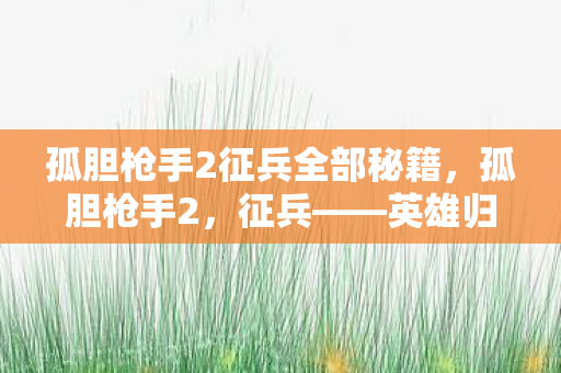 孤胆枪手2征兵全部秘籍，孤胆枪手2，征兵——英雄归来