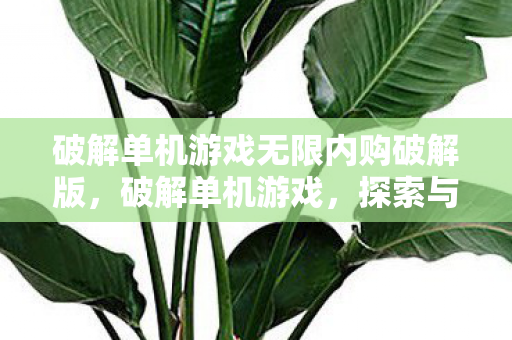 破解单机游戏无限内购破解版，破解单机游戏，探索与风险并存的游戏世界