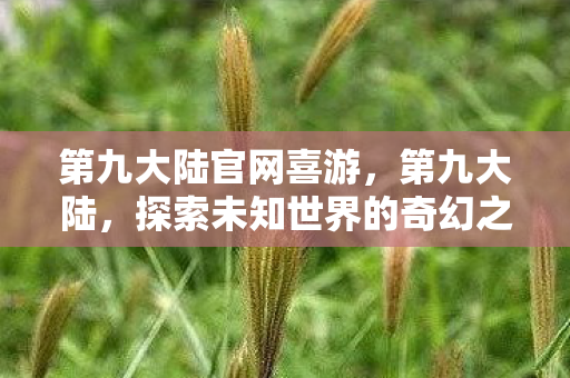 第九大陆官网喜游，第九大陆，探索未知世界的奇幻之旅