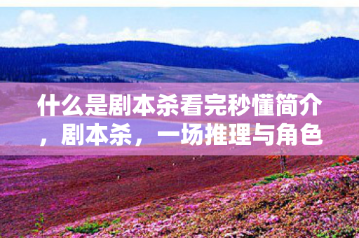 什么是剧本杀看完秒懂简介，剧本杀，一场推理与角色扮演的盛宴