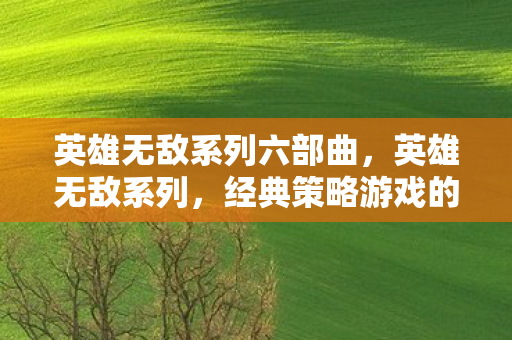 英雄无敌系列六部曲，英雄无敌系列，经典策略游戏的传奇之旅