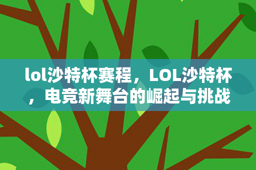 lol沙特杯赛程，LOL沙特杯，电竞新舞台的崛起与挑战