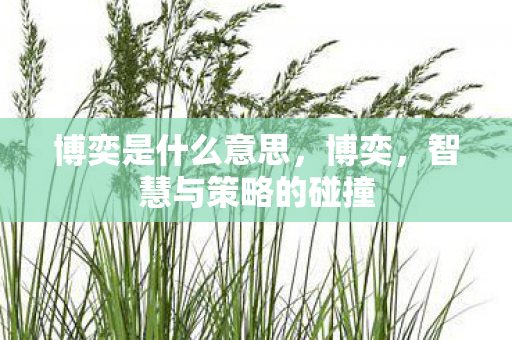 博奕是什么意思，博奕，智慧与策略的碰撞