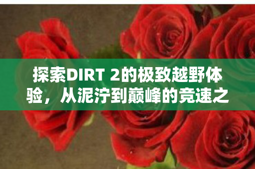 探索DIRT 2的极致越野体验,从泥泞到巅峰的竞速之旅 探索DIRT 2的极致越野体验,从泥泞到巅峰的竞速之旅