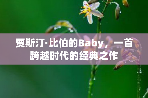 贾斯汀·比伯的Baby，一首跨越时代的经典之作