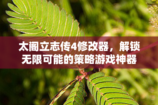 太阁立志传4修改器，解锁无限可能的策略游戏神器