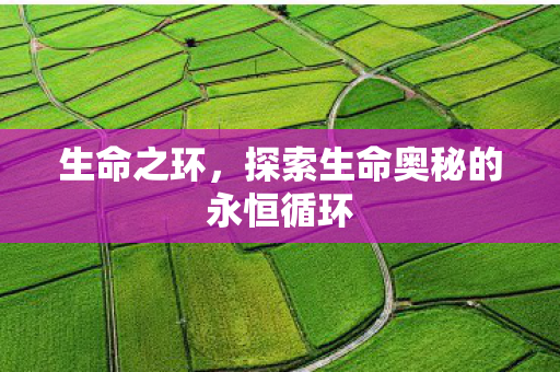 生命之环，探索生命奥秘的永恒循环