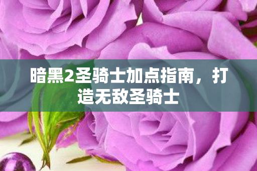 暗黑2圣骑士加点指南，打造无敌圣骑士