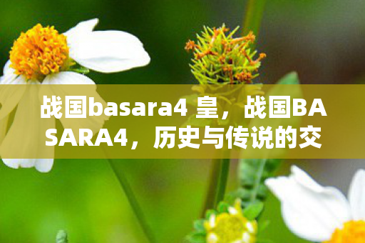 战国basara4 皇，战国BASARA4，历史与传说的交织