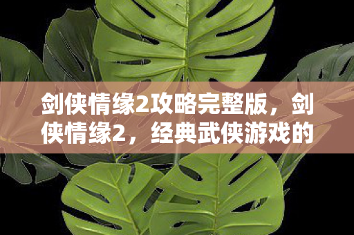 剑侠情缘2攻略完整版，剑侠情缘2，经典武侠游戏的深度攻略