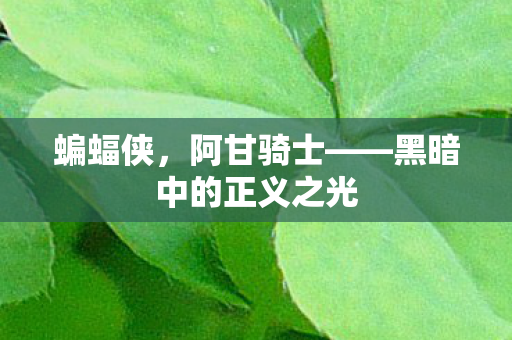 蝙蝠侠，阿甘骑士——黑暗中的正义之光