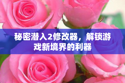 秘密潜入2修改器，解锁游戏新境界的利器