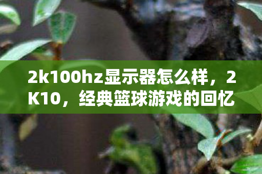 2k100hz显示器怎么样，2K10，经典篮球游戏的回忆与传承