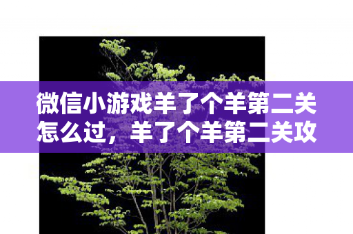 微信小游戏羊了个羊第二关怎么过,羊了个羊第二关攻略,解锁通关技巧,轻松过关! 微信小游戏羊了个羊第二关怎么过,羊了个羊第二关攻略,解锁通关技巧,轻松过关!