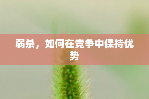 弱杀，如何在竞争中保持优势