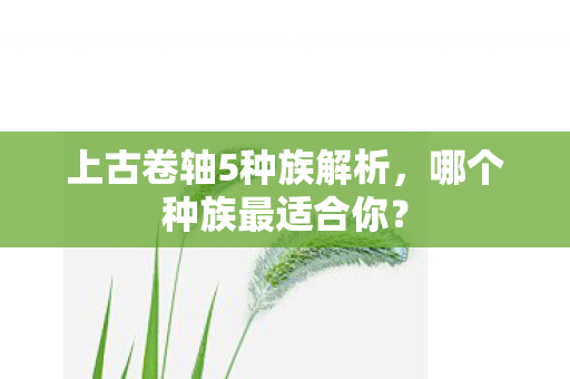 上古卷轴5种族解析，哪个种族最适合你？