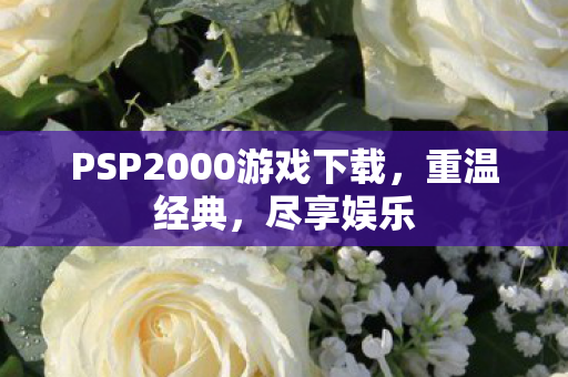 PSP2000游戏下载，重温经典，尽享娱乐