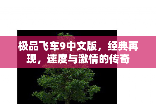 极品飞车9中文版，经典再现，速度与激情的传奇