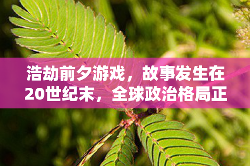 浩劫前夕游戏,故事发生在20世纪末,全球政治格局正经历着前所未有的动荡。冷战的阴云尚未完全散去,各国在军事、经济、科技等多个领域展开了激烈的竞争。在这个背景下,一系列全球性事件悄然酝酿,预示着即将到来的浩劫 浩劫前夕游戏,故事发生在20世纪末,全球政治格局正经历着前所未有的动荡。冷战的阴云尚未完全散去,各国在军事、经济、科技等多个领域展开了激烈的竞争。在这个背景下,一系列全球性事件悄然酝酿,预示着即将到来的浩劫