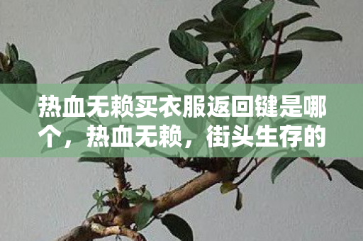 热血无赖买衣服返回键是哪个，热血无赖，街头生存的艺术