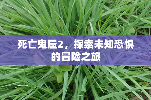 死亡鬼屋2,探索未知恐惧的冒险之旅 死亡鬼屋2,探索未知恐惧的冒险之旅
