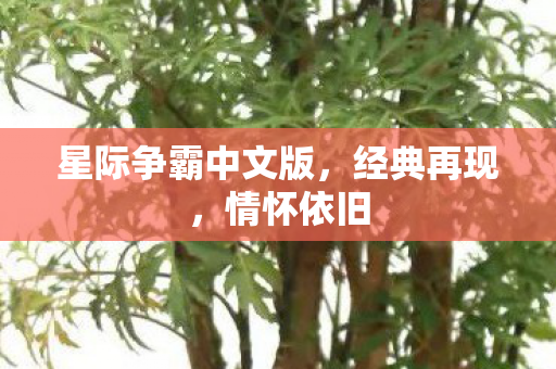 星际争霸中文版，经典再现，情怀依旧