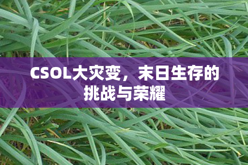 CSOL大灾变，末日生存的挑战与荣耀