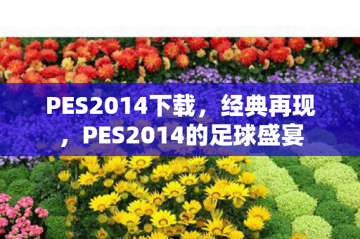 PES2014下载，经典再现，PES2014的足球盛宴