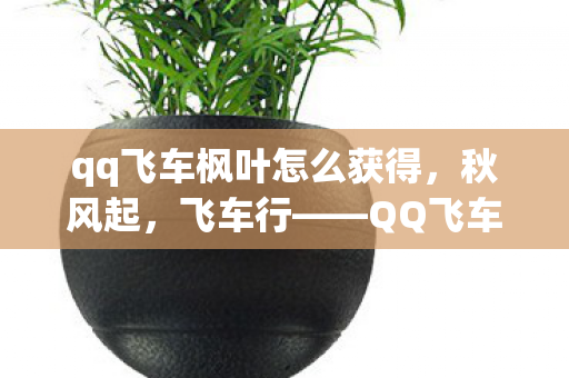 qq飞车枫叶怎么获得,秋风起,飞车行——QQ飞车中的枫叶之旅 qq飞车枫叶怎么获得,秋风起,飞车行——QQ飞车中的枫叶之旅