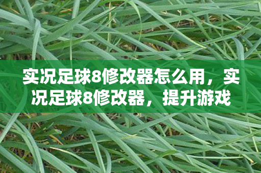 实况足球8修改器怎么用，实况足球8修改器，提升游戏体验的神奇工具