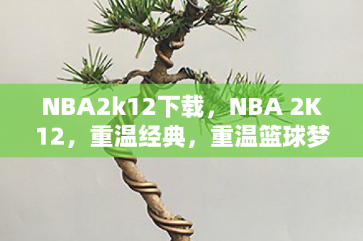 NBA2k12下载，NBA 2K12，重温经典，重温篮球梦