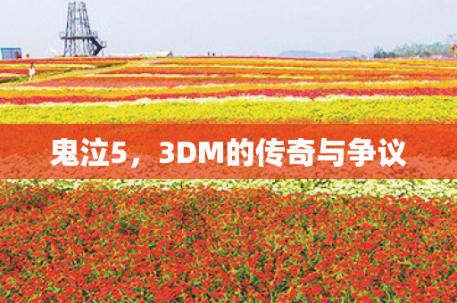 鬼泣5，3DM的传奇与争议