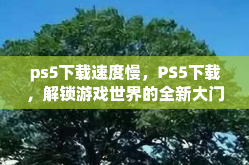 ps5下载速度慢，PS5下载，解锁游戏世界的全新大门