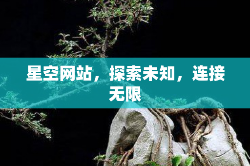 星空网站，探索未知，连接无限